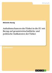 Aufnahmechancen der Türkei in die EU mit Bezug auf gesamtwirtschaftliche und politische Indikatoren der Türkei