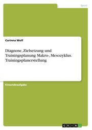Diagnose, Zielsetzung und Trainingsplanung Makro-, Mesozyklus. Trainingsplanerstellung