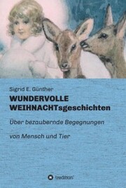 WUNDERVOLLE WEIHNACHTsgeschichten - Cover