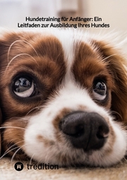 Hundetraining für Anfänger: Ein Leitfaden zur Ausbildung Ihres Hundes