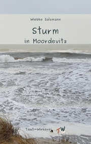 Sturm in Moordevitz - Cover