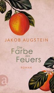 Die Farbe des Feuers - Cover