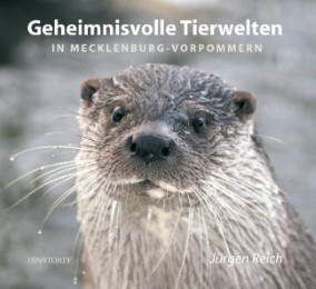 Geheimnisvolle Tierwelten in Mecklenburg-Vorpommern