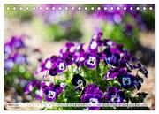 Gartenfreude für das ganze Jahr! (Tischkalender 2024 DIN A5 quer), CALVENDO Monatskalender - Abbildung 5