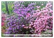 Gartenfreude für das ganze Jahr! (Tischkalender 2024 DIN A5 quer), CALVENDO Monatskalender - Abbildung 8