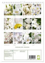 Strahlendes Weiß Blütenbilder (Wandkalender 2024 DIN A4 hoch), CALVENDO Monatskalender - Abbildung 1