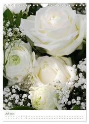 Strahlendes Weiß Blütenbilder (Wandkalender 2024 DIN A4 hoch), CALVENDO Monatskalender - Abbildung 9