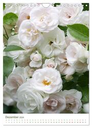 Strahlendes Weiß Blütenbilder (Wandkalender 2024 DIN A4 hoch), CALVENDO Monatskalender - Abbildung 14