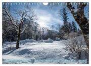 Winter ist die schönste Zeit (Wandkalender 2024 DIN A4 quer), CALVENDO Monatskalender - Abbildung 12