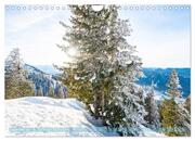 Winter ist die schönste Zeit (Wandkalender 2024 DIN A4 quer), CALVENDO Monatskalender - Abbildung 14