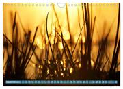 Zauberhaftes Bokeh - Glitzernde Welt winziger Wassertropfen (Wandkalender 2024 DIN A4 quer), CALVENDO Monatskalender - Abbildung 11