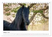 Friesen - stolze Giganten (Tischkalender 2024 DIN A5 quer), CALVENDO Monatskalender - Abbildung 12