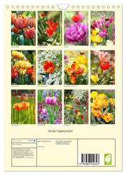 Bunte Tulpenpracht (Wandkalender 2024 DIN A4 hoch), CALVENDO Monatskalender - Abbildung 1