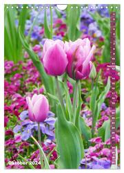 Bunte Tulpenpracht (Wandkalender 2024 DIN A4 hoch), CALVENDO Monatskalender - Abbildung 12