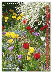 Bunte Tulpenpracht (Wandkalender 2024 DIN A4 hoch), CALVENDO Monatskalender - Abbildung 13