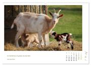 Mutterliebe - Ziegen mit ihren süßen Lämmern (hochwertiger Premium Wandkalender 2024 DIN A2 quer), Kunstdruck in Hochglanz - Abbildung 6
