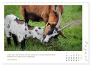 Mutterliebe - Ziegen mit ihren süßen Lämmern (hochwertiger Premium Wandkalender 2024 DIN A2 quer), Kunstdruck in Hochglanz - Abbildung 9