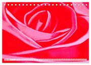 Rosenpower (Tischkalender 2024 DIN A5 quer), CALVENDO Monatskalender - Abbildung 8