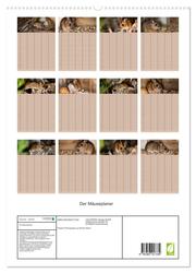 Der Mäuseplaner (hochwertiger Premium Wandkalender 2024 DIN A2 hoch), Kunstdruck in Hochglanz - Abbildung 1