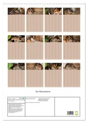 Der Mäuseplaner (Wandkalender 2024 DIN A2 hoch), CALVENDO Monatskalender - Abbildung 1
