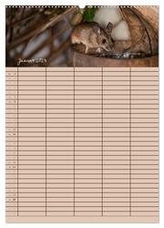 Der Mäuseplaner (Wandkalender 2024 DIN A2 hoch), CALVENDO Monatskalender - Abbildung 3