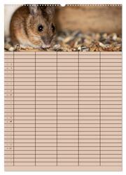 Der Mäuseplaner (Wandkalender 2024 DIN A2 hoch), CALVENDO Monatskalender - Abbildung 4