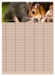 Der Mäuseplaner (Wandkalender 2024 DIN A2 hoch), CALVENDO Monatskalender - Abbildung 5