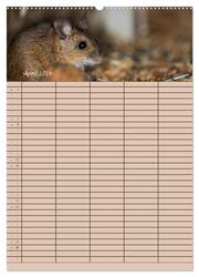 Der Mäuseplaner (Wandkalender 2024 DIN A2 hoch), CALVENDO Monatskalender - Abbildung 6