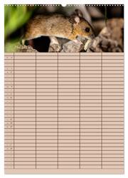 Der Mäuseplaner (Wandkalender 2024 DIN A2 hoch), CALVENDO Monatskalender - Abbildung 7