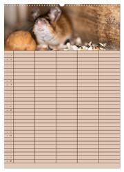 Der Mäuseplaner (Wandkalender 2024 DIN A2 hoch), CALVENDO Monatskalender - Abbildung 8