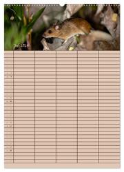 Der Mäuseplaner (Wandkalender 2024 DIN A2 hoch), CALVENDO Monatskalender - Abbildung 9