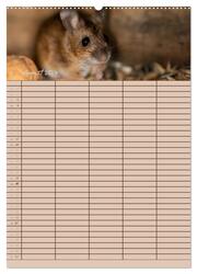Der Mäuseplaner (Wandkalender 2024 DIN A2 hoch), CALVENDO Monatskalender - Abbildung 10