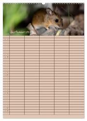 Der Mäuseplaner (Wandkalender 2024 DIN A2 hoch), CALVENDO Monatskalender - Abbildung 11