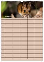 Der Mäuseplaner (Wandkalender 2024 DIN A2 hoch), CALVENDO Monatskalender - Abbildung 13
