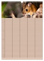 Der Mäuseplaner (Wandkalender 2024 DIN A3 hoch), CALVENDO Monatskalender - Abbildung 5