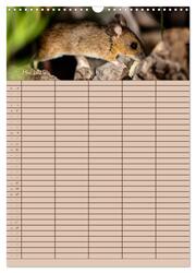 Der Mäuseplaner (Wandkalender 2024 DIN A3 hoch), CALVENDO Monatskalender - Abbildung 7