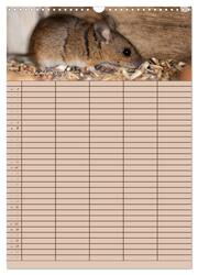 Der Mäuseplaner (Wandkalender 2024 DIN A3 hoch), CALVENDO Monatskalender - Abbildung 14