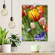 Tulpen - die Frühlingsblume (Wandkalender 2024 DIN A4 hoch), CALVENDO Monatskalender - Abbildung 2