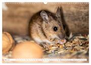 Die Maus im Vogelhaus (Wandkalender 2024 DIN A3 quer), CALVENDO Monatskalender - Abbildung 7