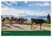 Allgäu - Landliches Leben (Wandkalender 2024 DIN A4 quer), CALVENDO Monatskalender - Abbildung 4