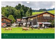 Allgäu - Landliches Leben (Wandkalender 2024 DIN A4 quer), CALVENDO Monatskalender - Abbildung 9
