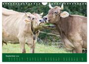 Allgäu - Landliches Leben (Wandkalender 2024 DIN A4 quer), CALVENDO Monatskalender - Abbildung 11