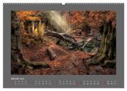 Waldgeheimnisse (hochwertiger Premium Wandkalender 2024 DIN A2 quer), Kunstdruck in Hochglanz - Abbildung 2