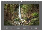 Waldgeheimnisse (hochwertiger Premium Wandkalender 2024 DIN A2 quer), Kunstdruck in Hochglanz - Abbildung 7