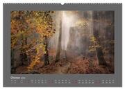 Waldgeheimnisse (hochwertiger Premium Wandkalender 2024 DIN A2 quer), Kunstdruck in Hochglanz - Abbildung 11
