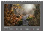 Waldgeheimnisse (hochwertiger Premium Wandkalender 2024 DIN A2 quer), Kunstdruck in Hochglanz - Abbildung 12