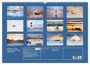 Helgoland - Das Leben auf der Düne Helgolands (Wandkalender 2024 DIN A2 quer), CALVENDO Monatskalender - Abbildung 1