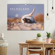 Helgoland - Das Leben auf der Düne Helgolands (Wandkalender 2024 DIN A2 quer), CALVENDO Monatskalender - Abbildung 2