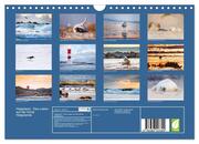 Helgoland - Das Leben auf der Düne Helgolands (Wandkalender 2024 DIN A4 quer), CALVENDO Monatskalender - Abbildung 1