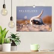 Helgoland - Das Leben auf der Düne Helgolands (Wandkalender 2024 DIN A4 quer), CALVENDO Monatskalender - Abbildung 2